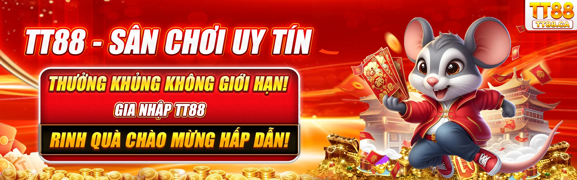 baner-tt88-1